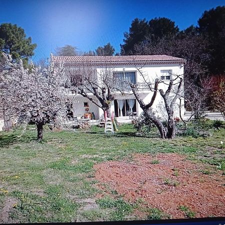 La Maison De Papou La Vigne A Nans Les Pins 83860 Exteriér fotografie