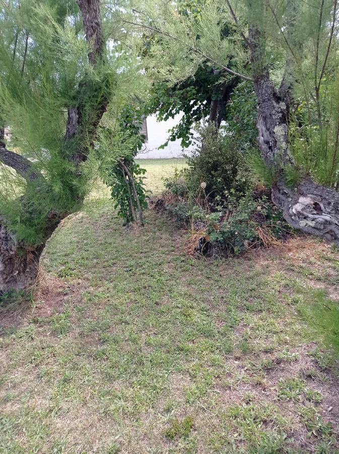 La Maison De Papou La Vigne A Nans Les Pins 83860 Exteriér fotografie