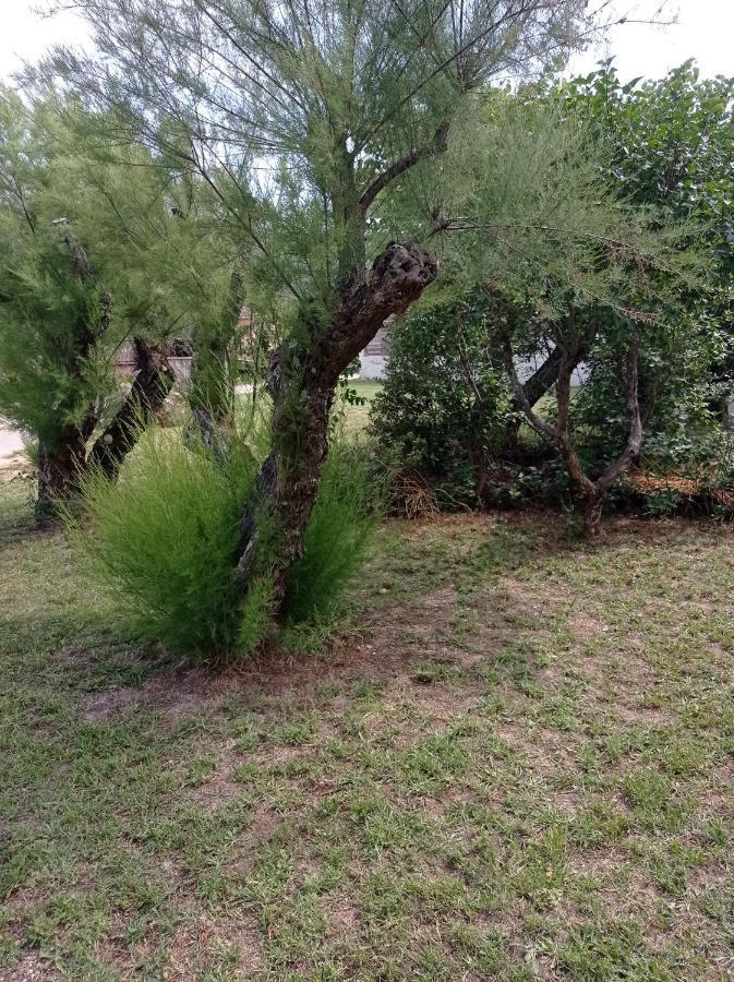 La Maison De Papou La Vigne A Nans Les Pins 83860 Exteriér fotografie